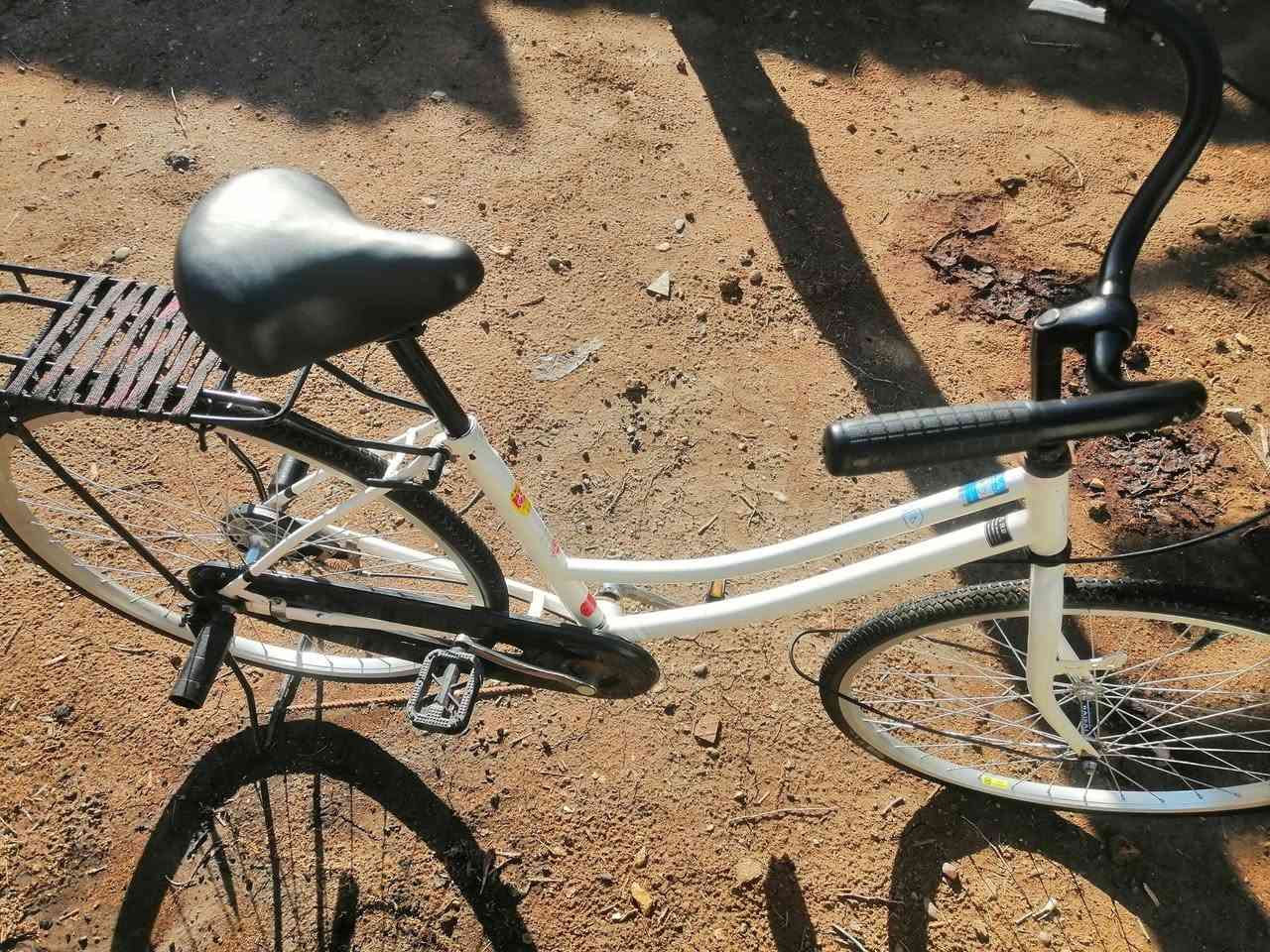 عمب سلام عليكم عمي باسكل البيع وعلي باسكل ماعوزه برقي كله كامل من طول الطول وشرط كشماه عوزه تعمير 2025 ويله نظاف كلش حجم 26 والباسكل مامقسول راده سعر 80وبيه مجال وشراي يجي خاص 🫡❤️


**إذا كنت صاحب هذا الإعلان وتريد حذفه لأي سبب، رجاءا أرسل رسالة إلى الدعم الفني**