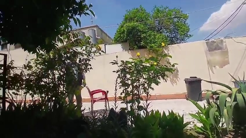 شغل اليوم حدقجي
  نعمل الحدايق بسعار مناسبه تنضيف الحدايق تقليم كافه انواعه الاشجار التواصل ع رقم *********** ورقم بي واتساب
