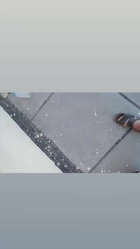 ستلايت بغداد يرحب بكوم وساب 07882900429