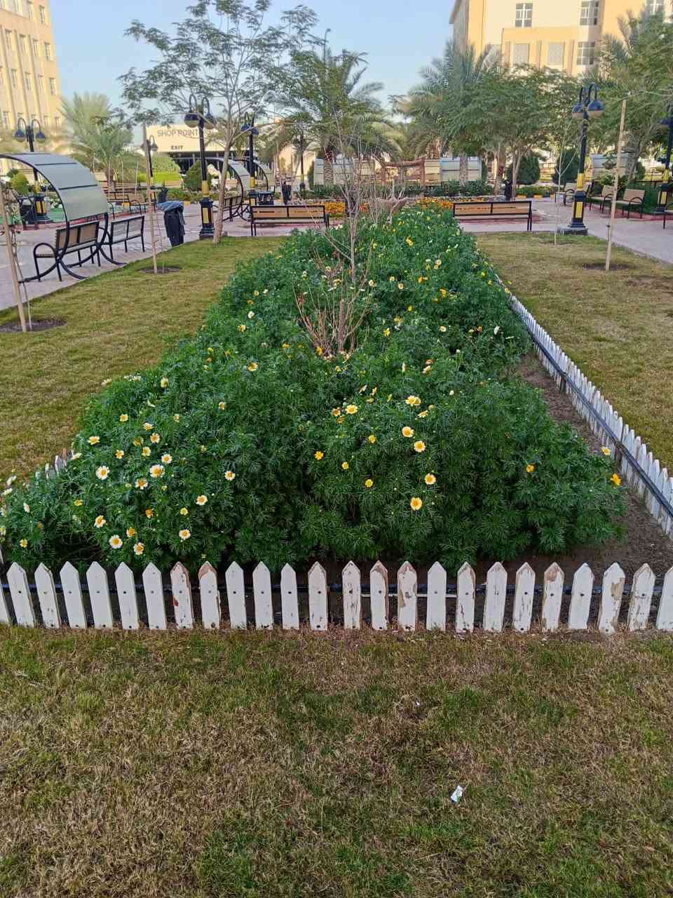 لدينا كوادر مختصه بتنفيذ الحدائق ومنضومات الري الحديثه إلكترونيّ ولعادي شغل حسب اطلب وسعار تانفسية من يرغب في عملنا اتصال عل لهاتف ***********
