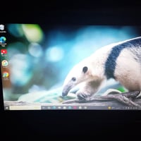 لابتوب لينوفو • Lenovo ThinkPad L570 • لابتوب Core i7 • لابتوب SSD • ر...