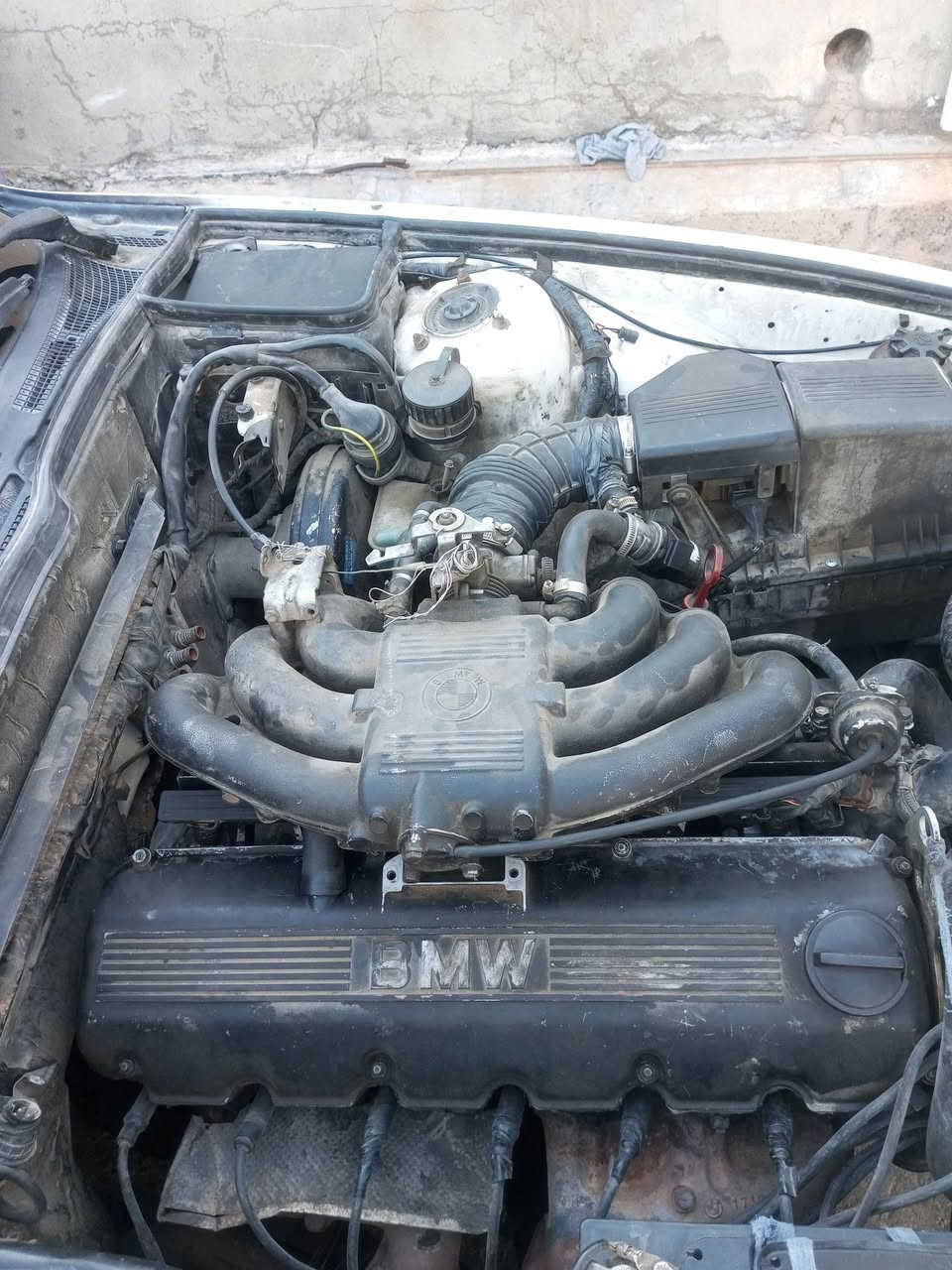 Bmw520عادي فةل
گيرومةكينةي بةشةرتة
رةقةم كةركوك بةشةرتي تةخويل 
سلايدة كوشني سياخية
ناونيشان كةركوك 
سعري 23$
دةست خؤش ئةدمين.


**إذا كنت صاحب هذا الإعلان وتريد حذفه لأي سبب، رجاءا أرسل رسالة إلى الدعم الفني**