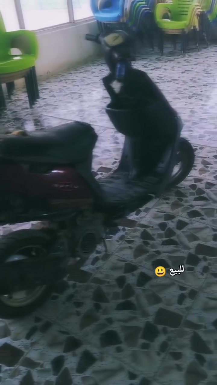 درجه بطه شغل للبيع المكان الوركاء سعر ب 100وبيها مجال للشراي


**إذا كنت صاحب هذا الإعلان وتريد حذفه لأي سبب، رجاءا أرسل رسالة إلى الدعم الفني**