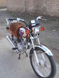 نامه امتياز 2025 • دراجه زيرو • محاويل بابل