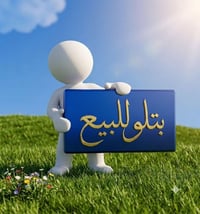 أميري • ١٠٠م • جاهز للبناء