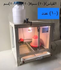 حضانه • افراخ دجاج • صقلاويه
