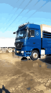 للبيع حجم 48 رقم سليمانية 
***********.   ***********
