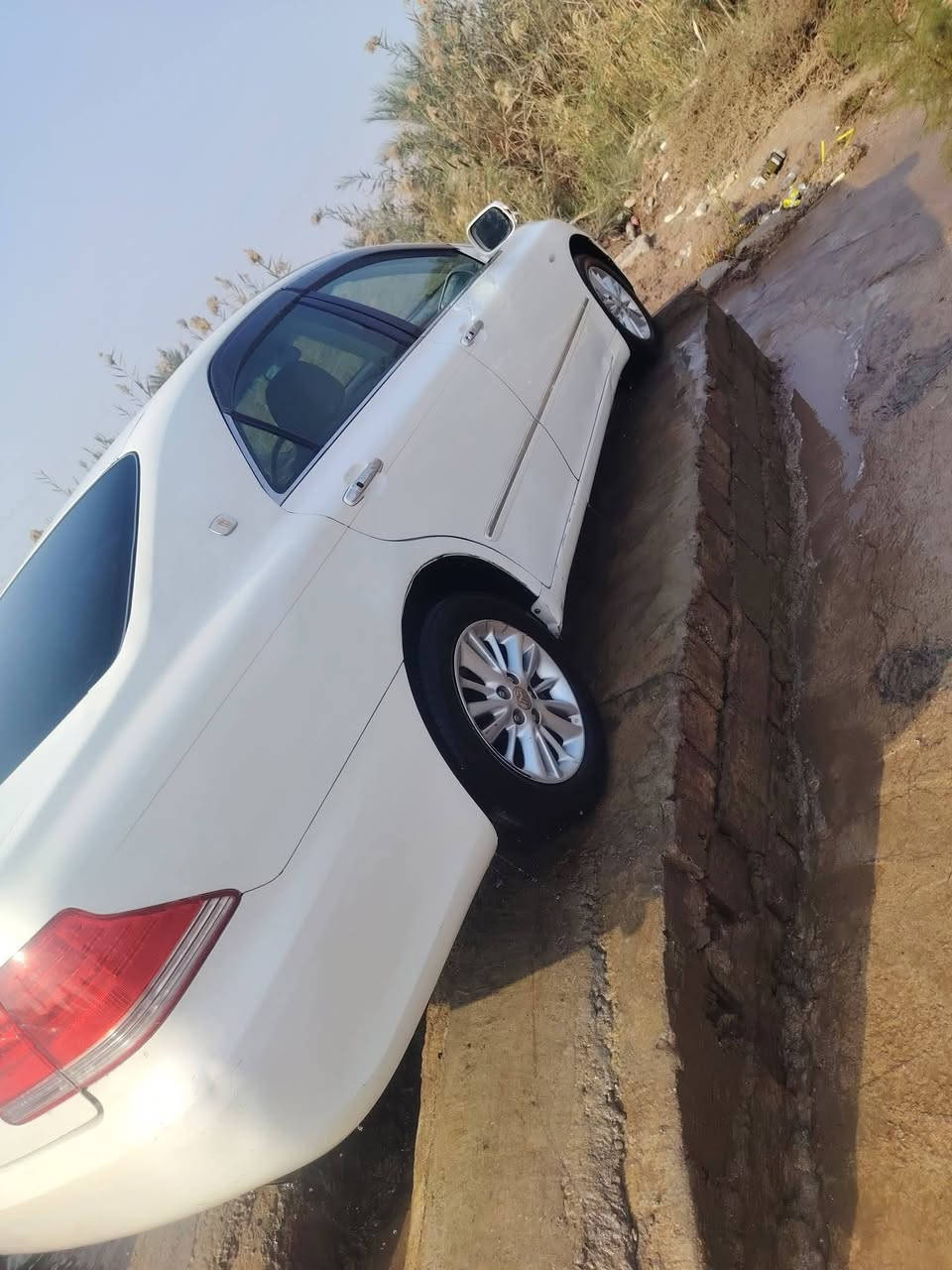 شاهينه 2007 دخول جديد كارتون گصه مكينه وكير كارتون حداده تخم تاير كهربائيات لايت زنون جاهزه سعر 37 مكان ذي قار شطره الگطيه ***********
