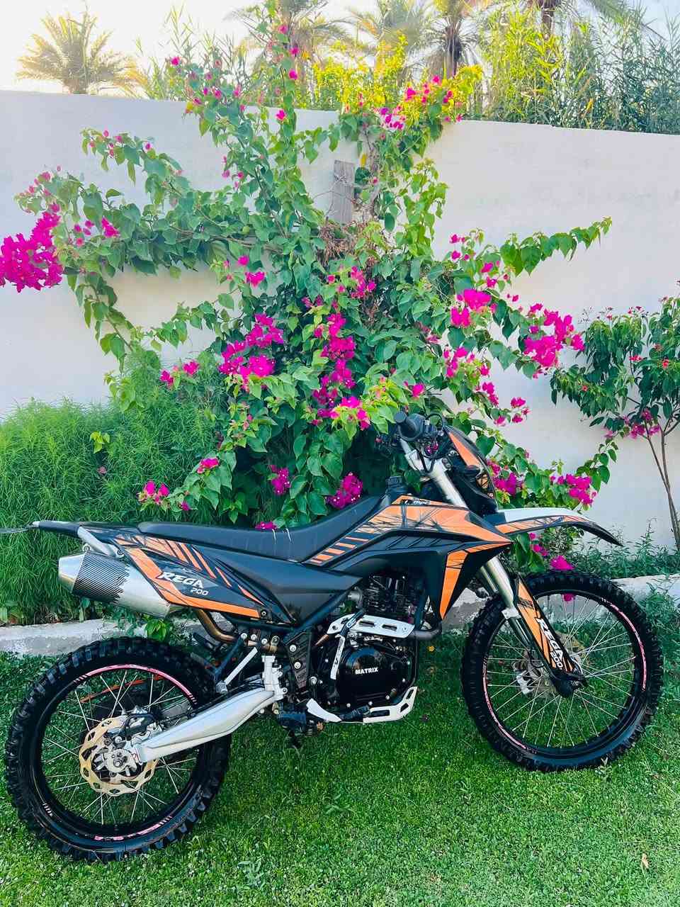 سلام عليكم 🖤
قفاز ماتركس موديل 23
اصولي مكفول برغي مامبدل 
نضيفه استعمال قليل 
تجي تفحص وشوف 
لمكان كربلاء لحسينيه 
السعر مليون و400 وبيه مجال لطيبين 

***********
