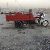 ستوته • 2010 • كفاله عامه