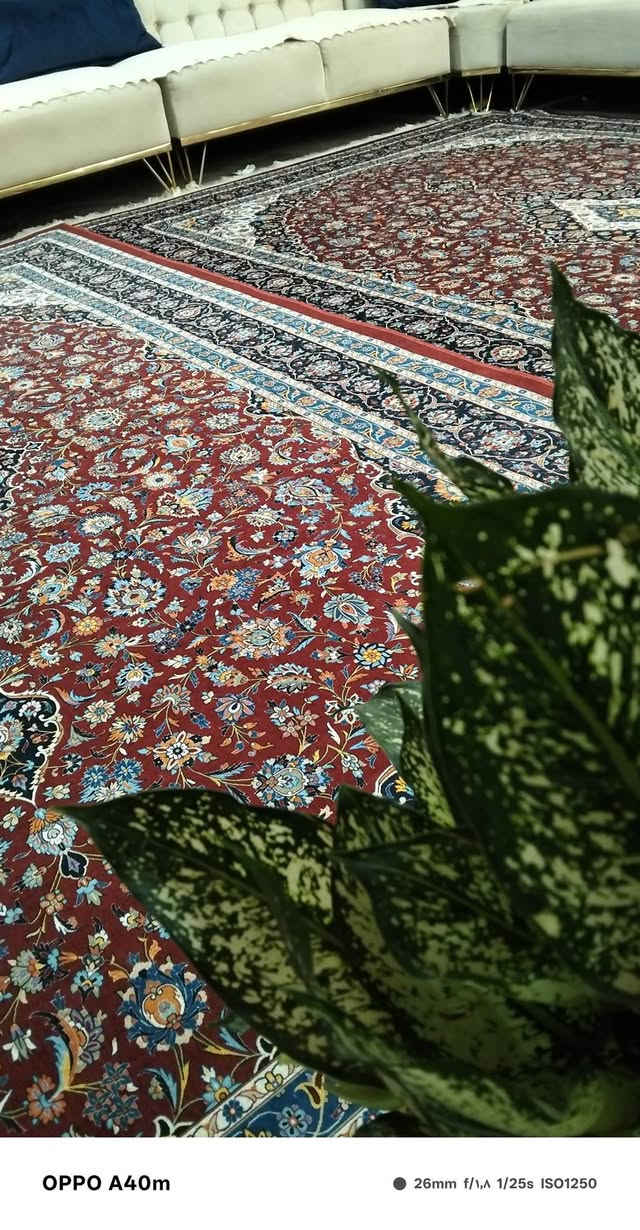 دووتاکی دووبە سێ تازە کڕدراوە لە هه ڵە بجە ی شە هید بۆفرۆشتن


**إذا كنت صاحب هذا الإعلان وتريد حذفه لأي سبب، رجاءا أرسل رسالة إلى الدعم الفني**