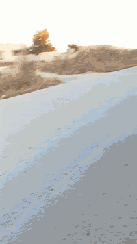 منطقة الاصلاح • شارع الجزيرة • أرض ١٠٠م