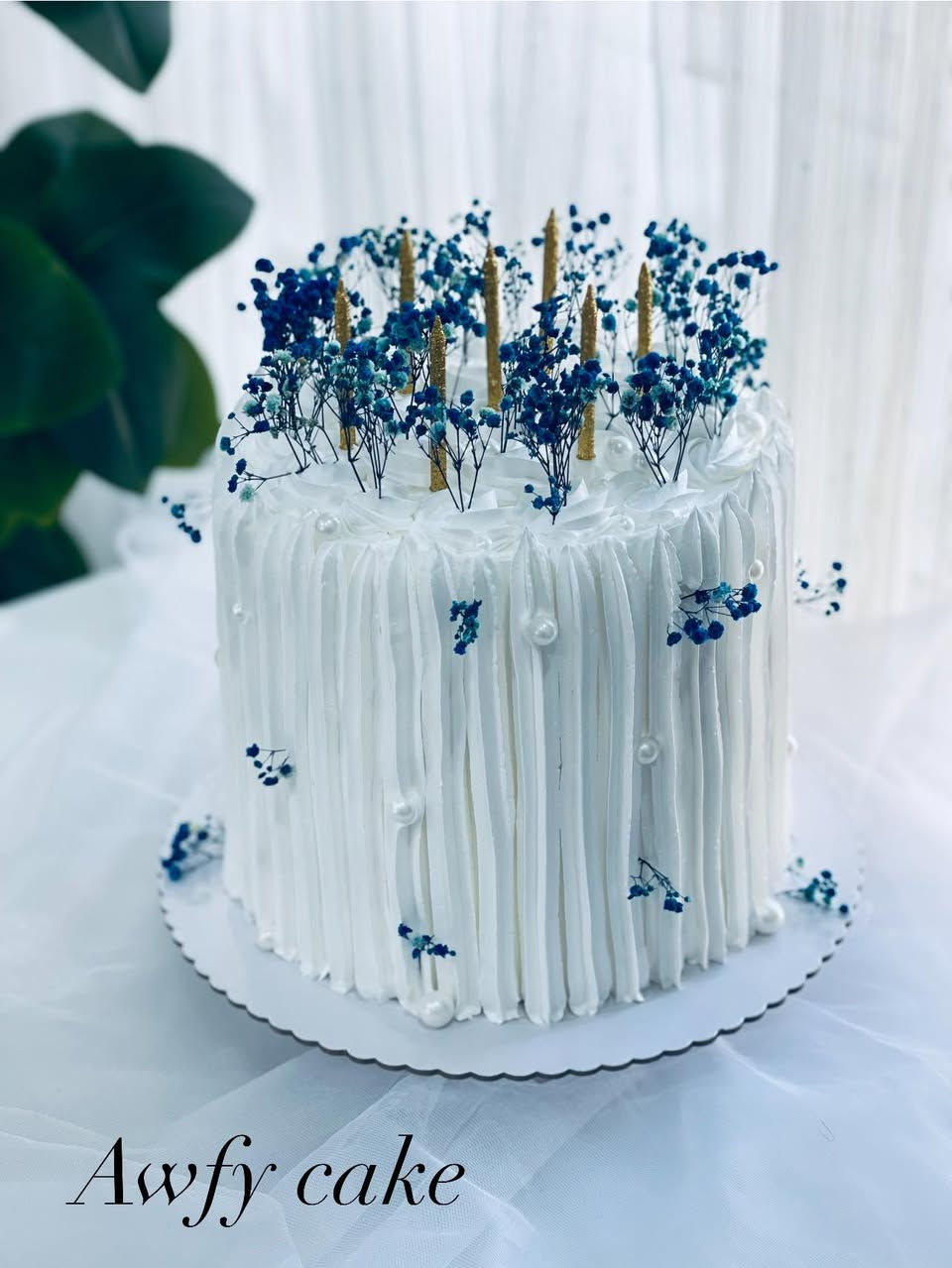 #الديوانيه


**إذا كنت صاحب هذا الإعلان وتريد حذفه لأي سبب، رجاءا أرسل رسالة إلى الدعم الفني**