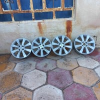 تخم ويل لبيع حجم١٦ السعر ٦٥وبي مجال الاتصال ع 07815361404