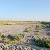 أرض زراعية • ٣٠دونم • شارع عام