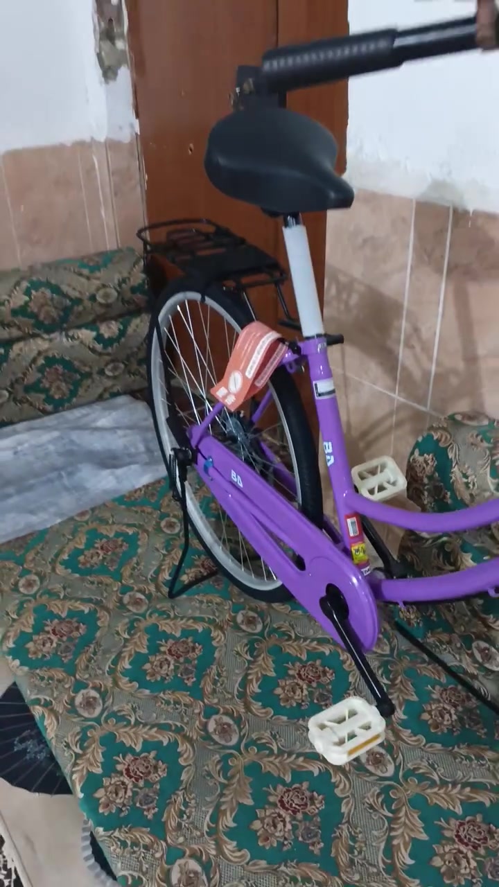سلام عليكم بيسكل بيدي للبيع كفاله شخط ما بيه حاويه شارع عشرين مديل 22 صالي 4مطلعه حاويه السعر 155 غراضه كامله مكاني ناصريه مركز رقمي ***********
