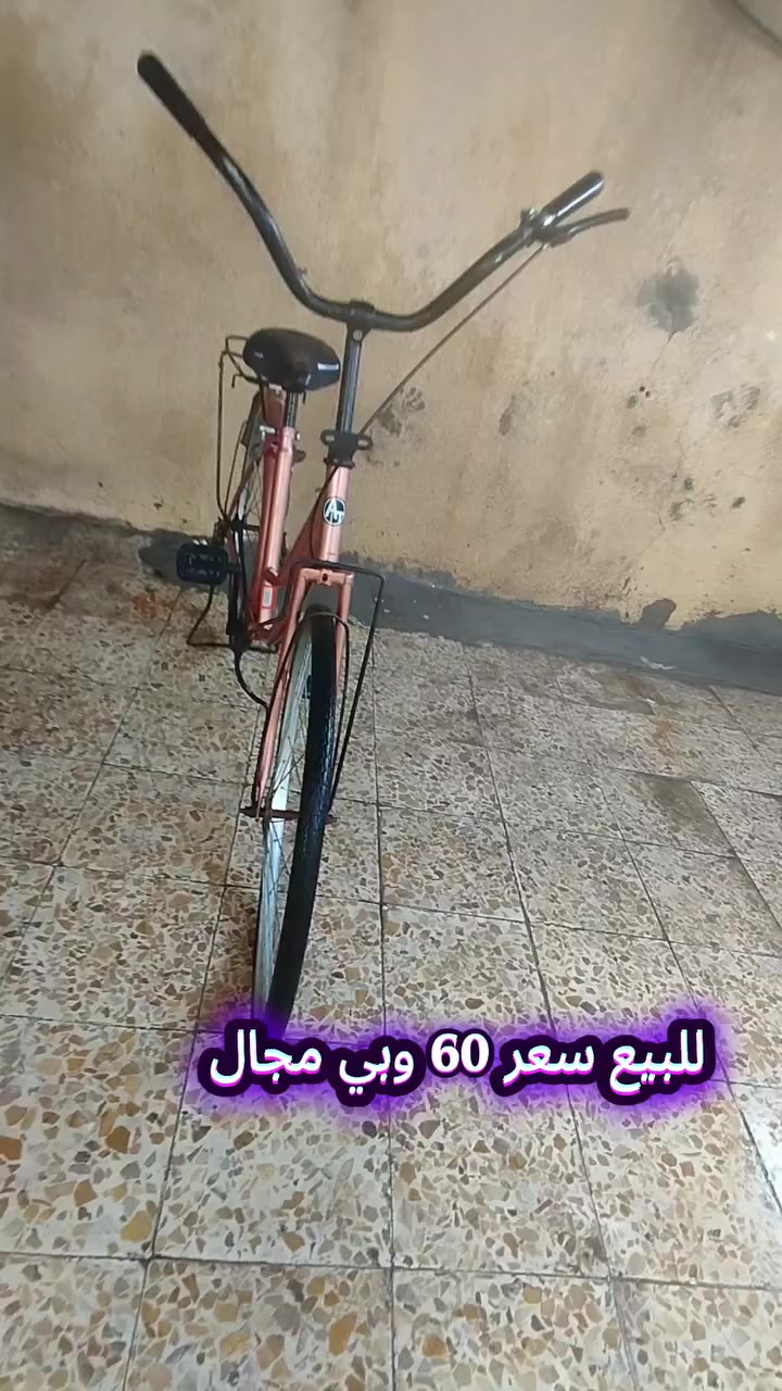 بايسكل بناتي
بايسكل بناتي 
حجم 26 
السعر 60 
التواصل فقط واتساب 
***********
