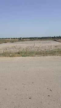 أرض • العزيزية برينج • ٣٩١٥م