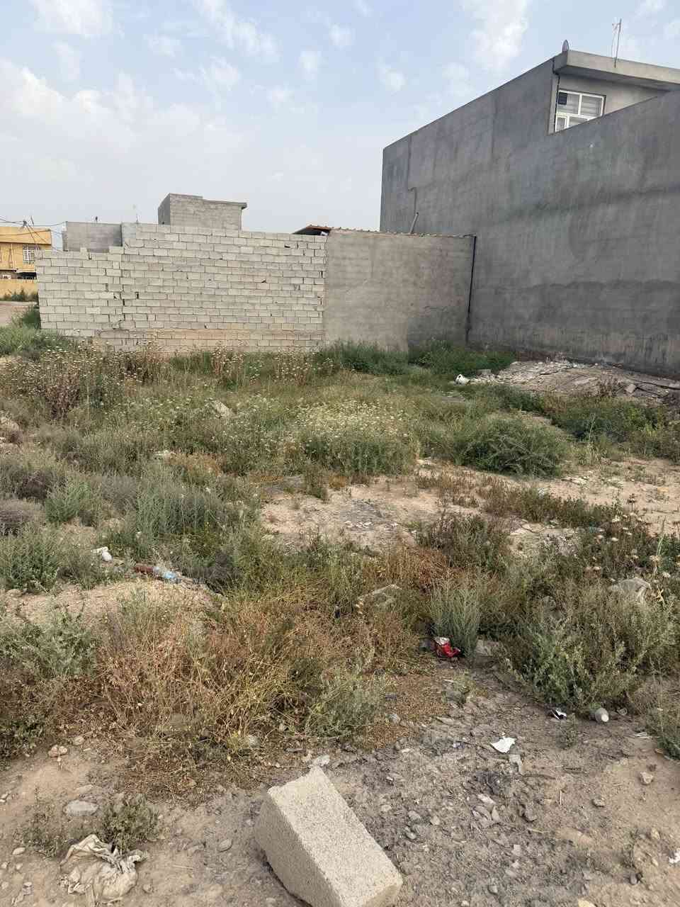 سلام عليكم قطقه للبيع 210 متر قطعه حلو زراعي سعر  قطعه ركن  رقم *********** ما يشتري لا يسل سعر 27 بيه مجال قليل ❤️تعال هله بيك

