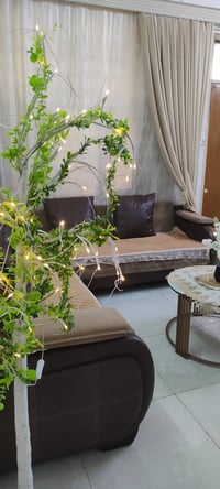 ديوان • ٥م • نظيف
