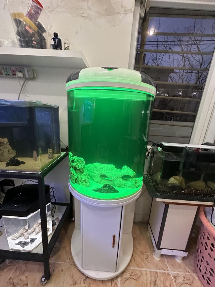 حەوزێك پێشی كامل خڕە و تایبەتە بۆ  جوانی  
ئاوگۆڕینی ناوێت فلتەری شەریكەی خۆی لەگەڵە 
لیدێكی مواسەفاتی شەریكەی  تێدایە چەندین ڕەنگی جیاوازی تێدایەو كز و زیاد ئەكرێت بە خواستی خۆت
مۆدی گۆڕینی ڕەنگەكانی تیایە بە شێوەی ئۆتۆماتیك
 چەند بەردێكی زۆر تایبەتی لەگەڵدایە
ژێری لمێكی زۆری تێدایە
پشتی  باگراوندی ڕەشی لێ دراوە
قیاسی حەوزەكە بەبێ مێز درێژی ٦٠ سم بەرزی ٧٦ سم تیرەی پانیەكەی بۆ پێشەكەی ٣٦ سم 
بەرزی حەوزەكە بە مێزەكەوە ١٤٥ سم
تێبینی : حەوزەكە بەكارهاتووە
_______
ئەوەی ویستی نامە بنێرێت لە واتس ئەپ یا ڤایبەر 
***********
گەیاندنمان تەنھا بۆ ناو سلێمانی ھەیە
