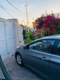 النترا ٢٠١٣ • رقم اربيل • وكاله ومكاتبه