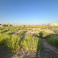 حي بابل الزراعي • ٢٠٠م • طابو زراعي