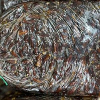 07805437720يوجد لدينا تمر درجة اولى شويثي اسود شويثي اصفر برحي  وبامية...