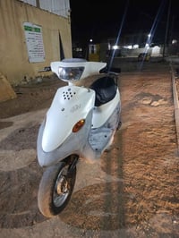 بيجي • فحل • من طالعه ١٠ايام