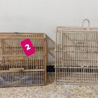 اقفاص • جديد • ميسان