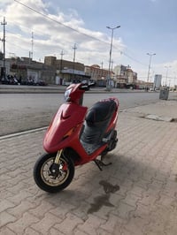 ماكس • جديد ١٠ أيام • المجر الكبير