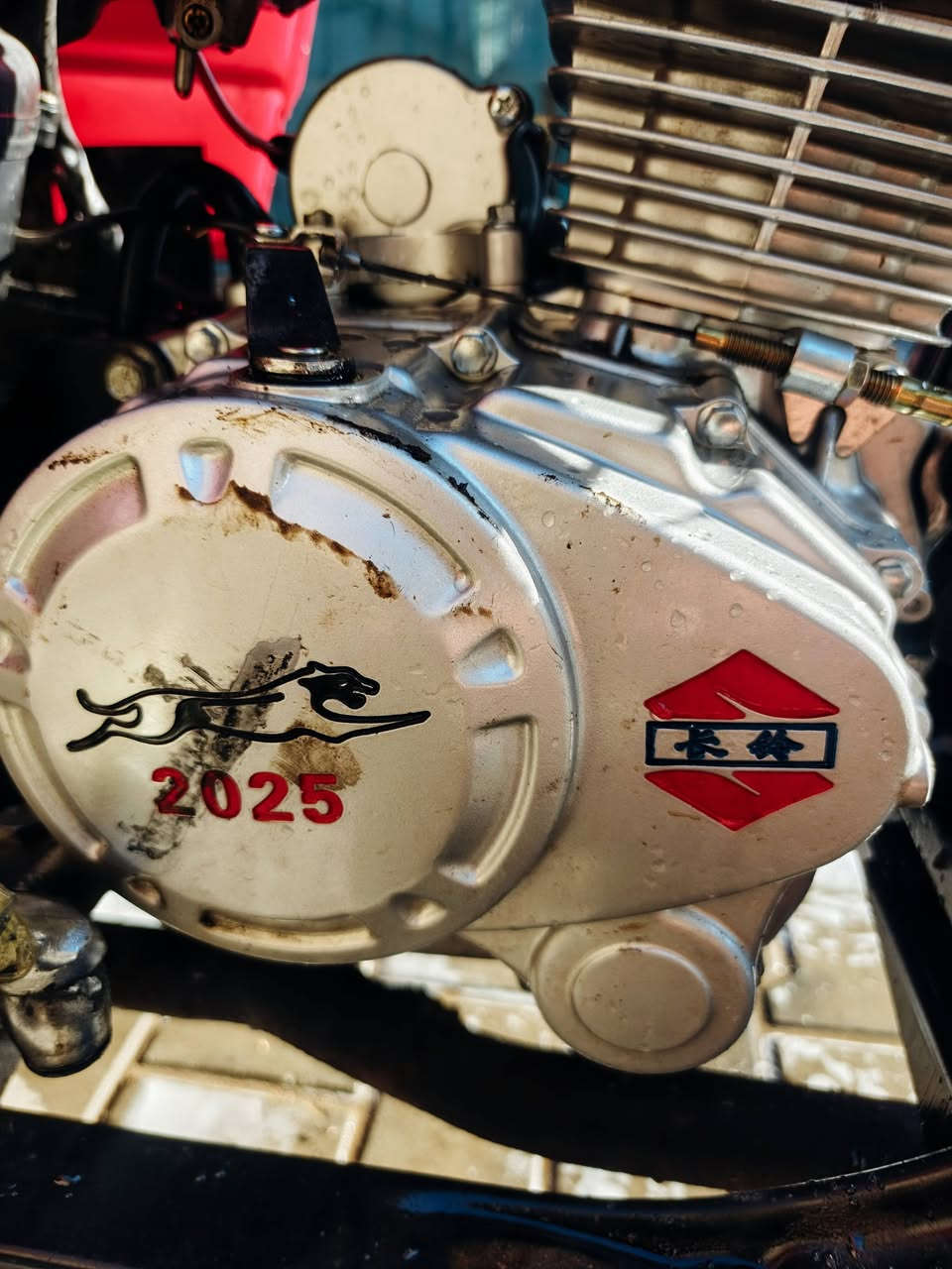 سلام عليكم ستوته دايون لبيع ستوته نكره سلف وراق صوليه ستوته كدام للعين نكره سلف مكينه مكفوله ٢٥ ستوته مل جني سعر علا للتصال مكاني بغداد شعله ‏‪***********‬‏
