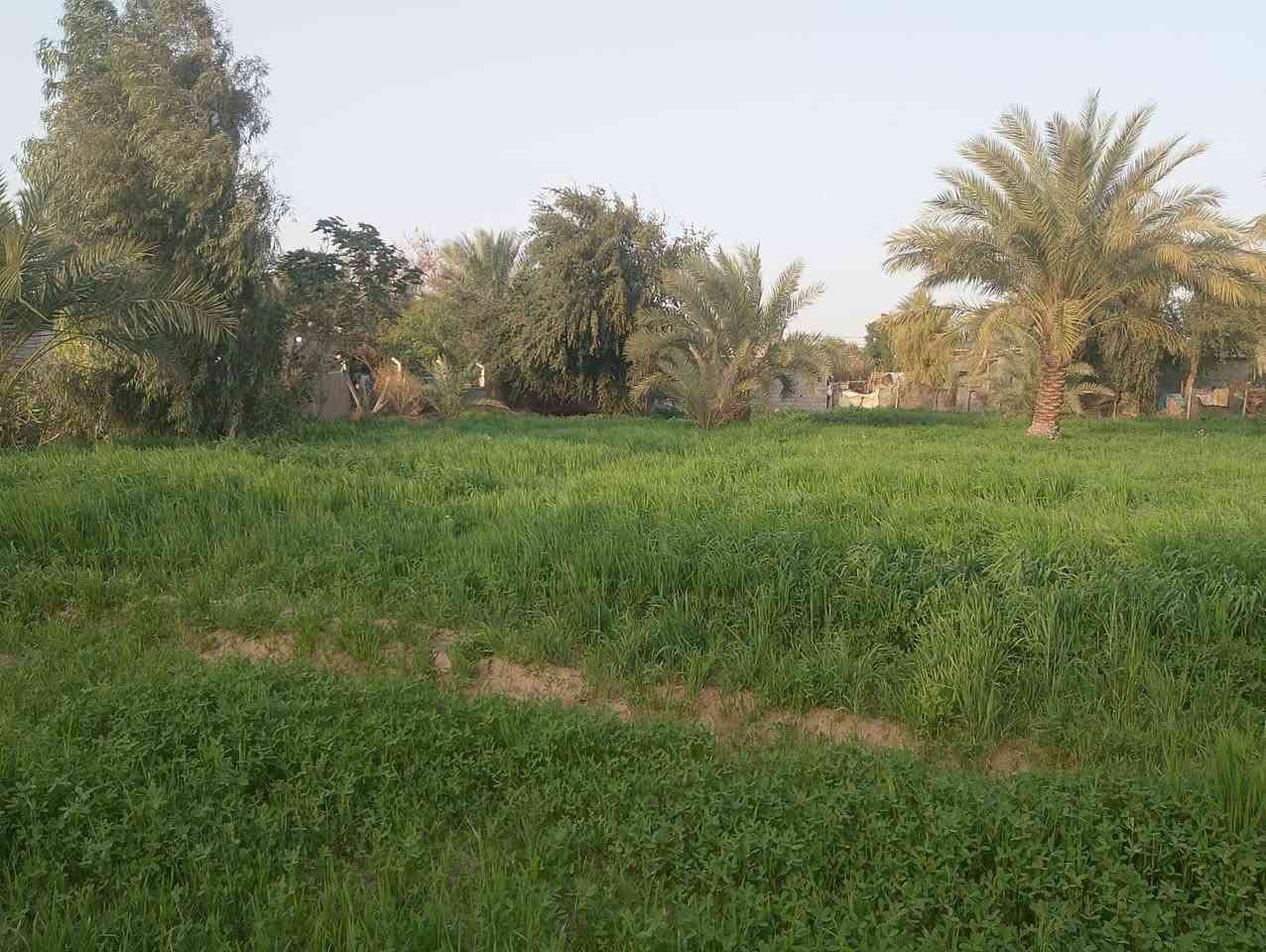 السلام عليكم
2 دونم للبيع جبله البستنه قرب اسالة الماء 
يتوفر ماء سقيي/ماء اساله/مولد حي كافة الخدمات
صالحه للزراعه والسكن
صنف الارض اتصلاح زراعي
للاستفسار الاتصال على الارقام التاليه
***********
‏‪***********‬‏
