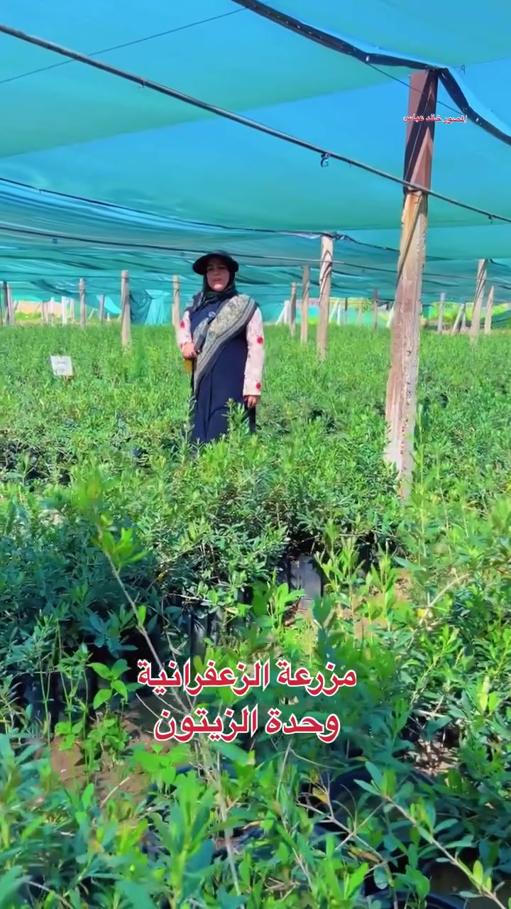 بغداد- الزعفرانية- باب الزراعة- مجاور محطة وقود الزعفرانية


**إذا كنت صاحب هذا الإعلان وتريد حذفه لأي سبب، رجاءا أرسل رسالة إلى الدعم الفني**