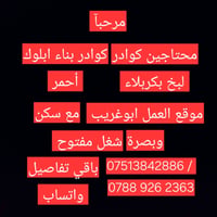 كوادر بناء • سيراميك • البصرة