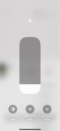 ايفون XS ماكس • ٢٥٦ جيجابايت • شريحتين