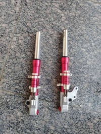 دبلات • ماكس • رياضي