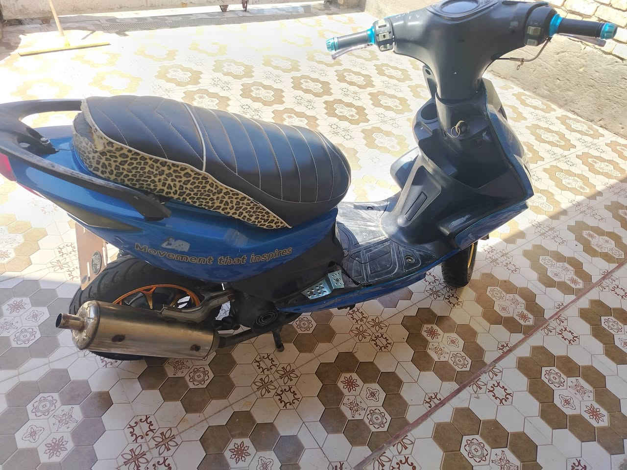 ماكس ثعلب ياباني للبيع باقي تفاصيل خاص
***********
