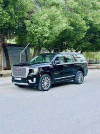 يوكن دينالي • ٢٠٢٤ • ٤٥٠٠٠ كم