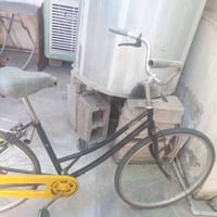 بسكليت • ٣٠