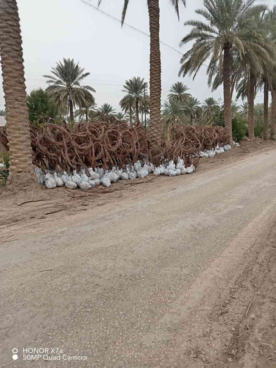 السلام عليكم يتوفر شتلات عنب للبيع جمله ومفرد النوع
حلواني
فرنسي
شده عراقيه
رئاسي
شده تركيه للاستفسار ***********
العنوان حله سياحي
