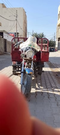 ستوتات • MTR ٢٠٢١ • اوراق اصلية