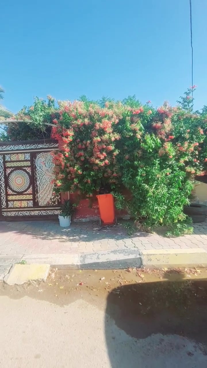 السلام عليكم  يوجد بيت للبيع في الاسبانيه 
الصطح تنساه ما ينزل قطره ماء مشتغلينه ماده وبعد الماده شتايكر سيراميك.كامل ما عده 3 غرف لان بيهن اخشاب وغراض وصحيات خارجيه للضيوف مطبخ  ومجمع صحيات خارجي في ضهر البيت  .البيت كامل من كلشي كهرباء ماء انترنت ضوئي الحديقه بيه انواع الفاكهه مثمره ليمون. رارنج لالنكي .تفاح .كاليسيا .لنكدنيا .عنب .تين .رمان . للستفسار الاتصال على الرقم ***********
