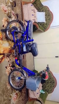 دراجة شحن • حجم ٢٠ • كفالة عامة