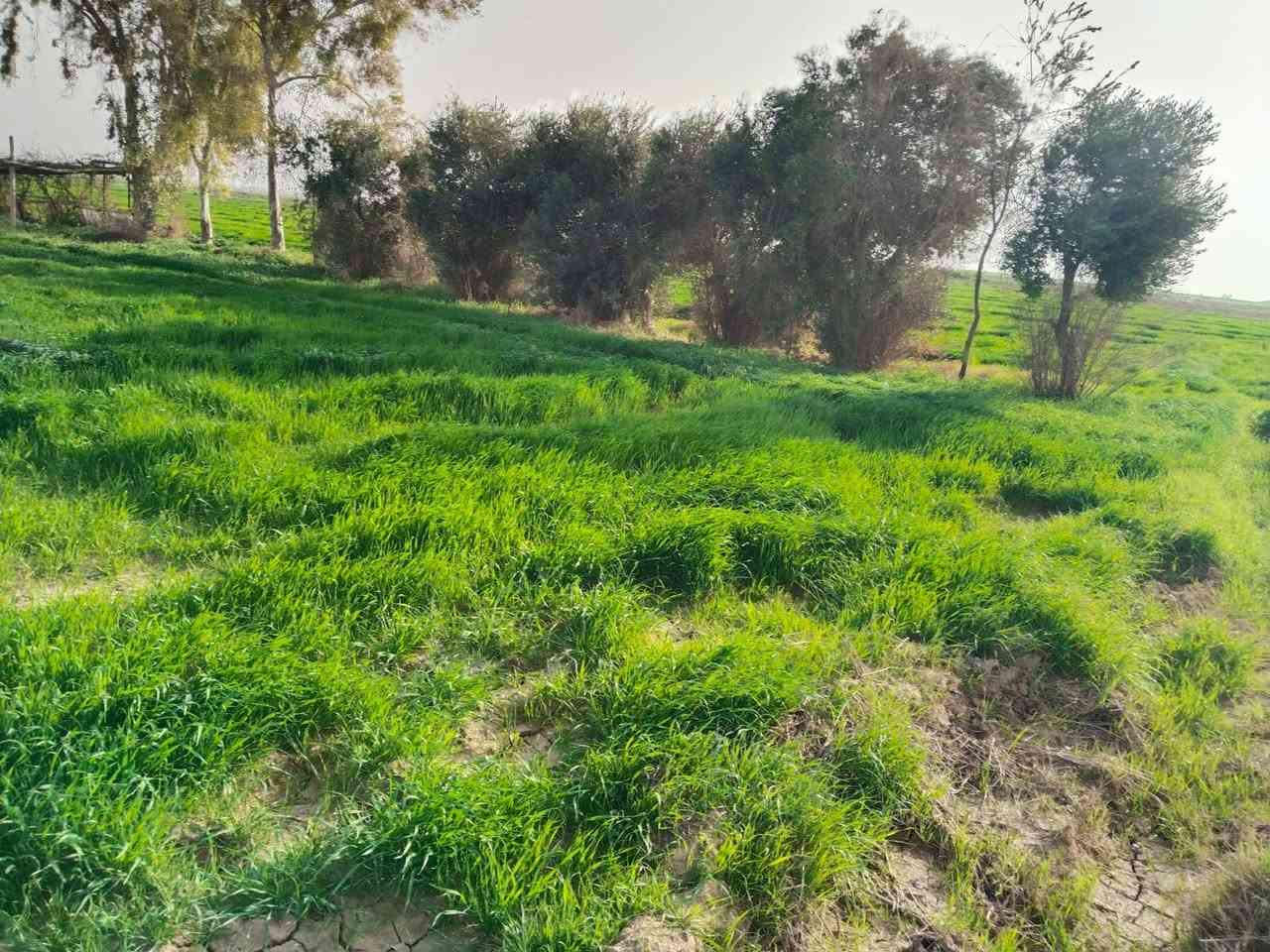 اعلان رقم (809)
قطعة ارض طابو للبيع 
مساحة/10 دونم 
العنوان/قرية جرداغلي 
السعر/دونم 10مليون
-----------------------
للاستفسار اكثر مراجعة مكتب محمد الواقع في فلكة راس فرع جامع الامام علي او اتصال بالارقام التالي 
***********
***********
نستقبل كافة عروضاتكم سكنية وتجارية في كافة المناطق طوز و كركوك...
