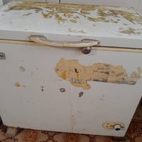 حله نادر • مجمدة عايزة غاز • صوبه نفطيه