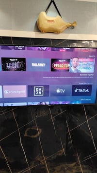 شاومي • ٥٥ بوصة • ريموت ناطق