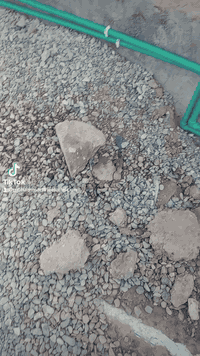 م /محمد الكهربائي
التأسيس الكهرباء والصحيات والسخانات وتنصييب السبالت والبوردات التواصل
***********
***********
