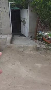 واجيه 10، ونزال 20، مساحة 200 متر مشتملين  العنوان بغداد،الشعلة، قرية ...