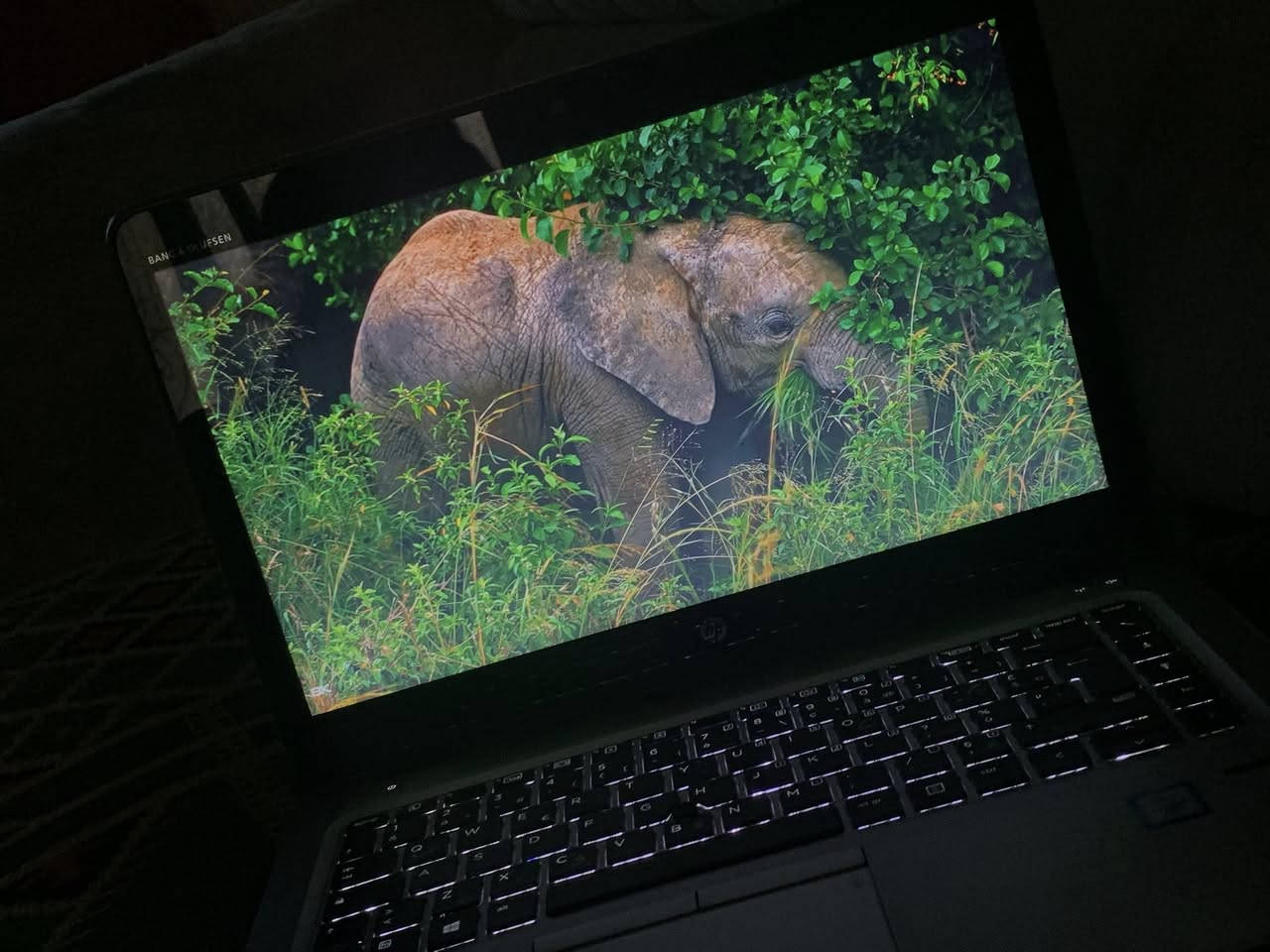 سلام عليكم لابتوب hp مواصفات مذكورة
مكاني بغداد البياع السعر 250 وبيه مجال 
لابتوب نقصه شاحنن و بطارية بس هية بطاريته شغالة
للتواصل على الرقم ***********
